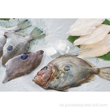 Frisch gefrorener John Dory